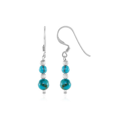 Orecchini in argento con Turchese
