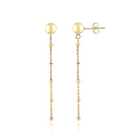 Orecchini in argento