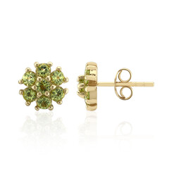 Orecchini in argento con Peridoto della Birmania