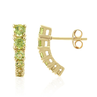 Orecchini in argento con Peridoto della Birmania