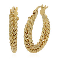 Orecchini in argento