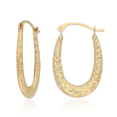 Orecchini in oro