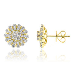Orecchini in oro con Diamante I1 (H) (CIRARI)
