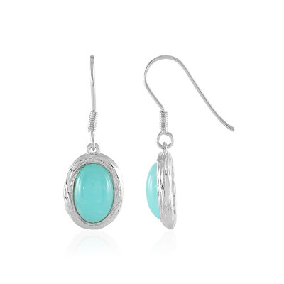 Orecchini in argento con Amazzonite