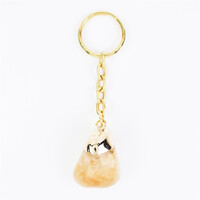 Accessorio in acciaio inossidabile con Citrino