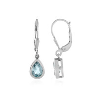 Orecchini in argento con Topazio Blu Cielo