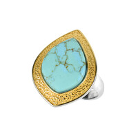 Anello in argento con Turchese
