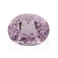 Gemma con Kunzite Brasiliana