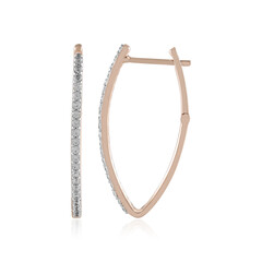 Orecchini in argento con Zircone