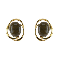 Orecchini in argento con Legno Fossile