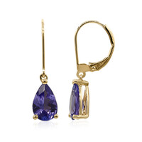 Orecchini in oro con Tanzanite AAA (CIRARI)