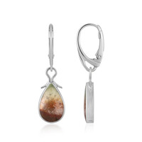 Orecchini in argento con Legno pietrificato opalizzato (Bali Barong)