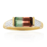 Anello in oro con Tormalina Bicolore