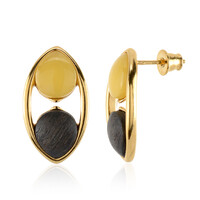 Orecchini in argento con Ambra Milky Baltica
