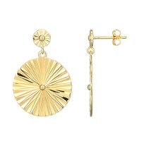 Orecchini in argento