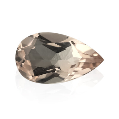 Gemma con Morganite Pesca
