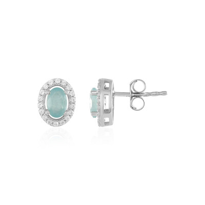Orecchini in argento con Grandidierite