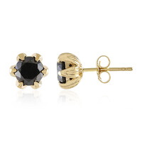 Orecchini in oro con Diamante Nero
