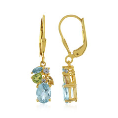 Orecchini in argento con Topazio Blu Cielo
