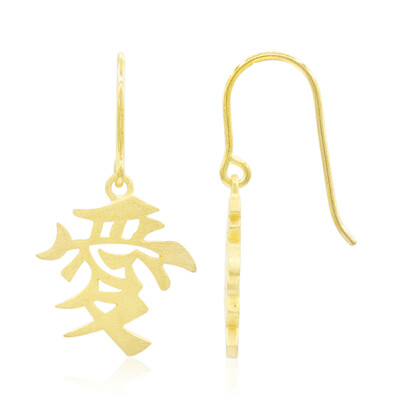 Orecchini in argento - Amore