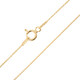 Catenina in argento