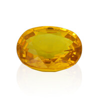 Gemma con Zaffiro Ceylon Giallo