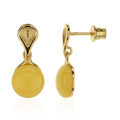 Orecchini in argento con Ambra Baltica