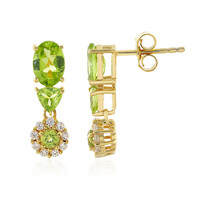 Orecchini in argento con Peridoto