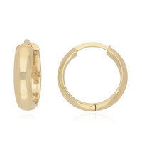 Orecchini in argento