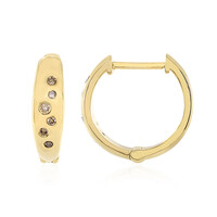 Orecchini in argento con Diamante Champagne I3