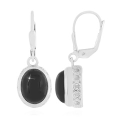 Orecchini in argento con Diopside Stellato d'India