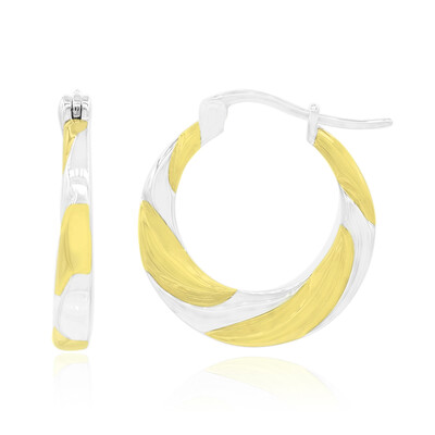 Orecchini in argento