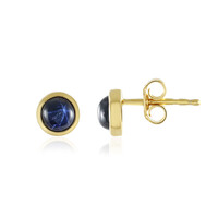 Orecchini in argento con Zaffiro Stellato Blu