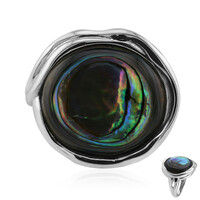 Anello in argento con Conchiglia Abalone (Art of Nature)