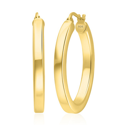 Orecchini in argento