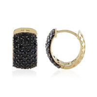 Orecchini in argento con Spinello Nero
