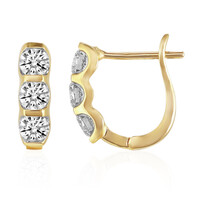 Orecchini in oro con Diamante SI1 (G)