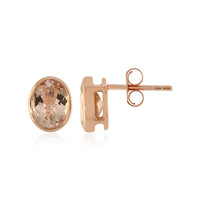 Orecchini in oro con Morganite Pesca