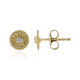 Orecchini in oro con Diamante IF (G) (de Melo)