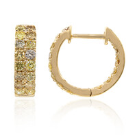 Orecchini in oro con Diamante Fancy SI2 (CIRARI)