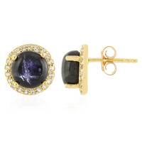 Orecchini in argento con Diopside Stellato d'India