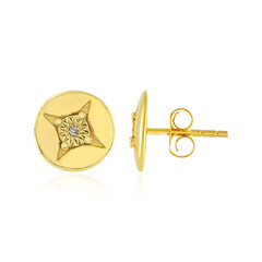 Orecchini in argento con Diamante PK (J)