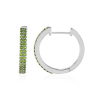 Orecchini in argento con Diopside Russo