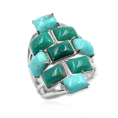 Anello in argento con Turchese Campo Frio (Anne Bever)