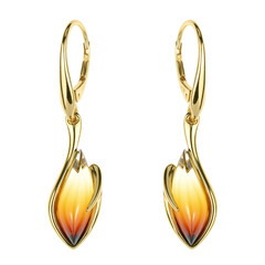 Orecchini in argento con Ambra Baltica