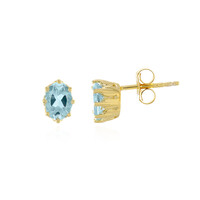 Orecchini in argento con Topazio Blu Cielo