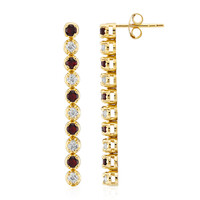 Orecchini in argento con Granato