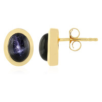 Orecchini in argento con Diopside Stellato d'India