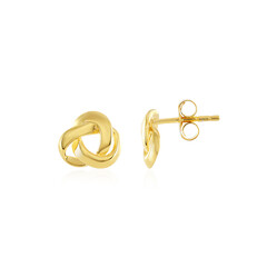 Orecchini in argento