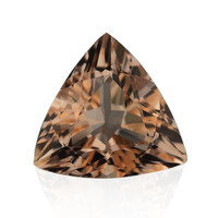 Gemma con Morganite Pesca